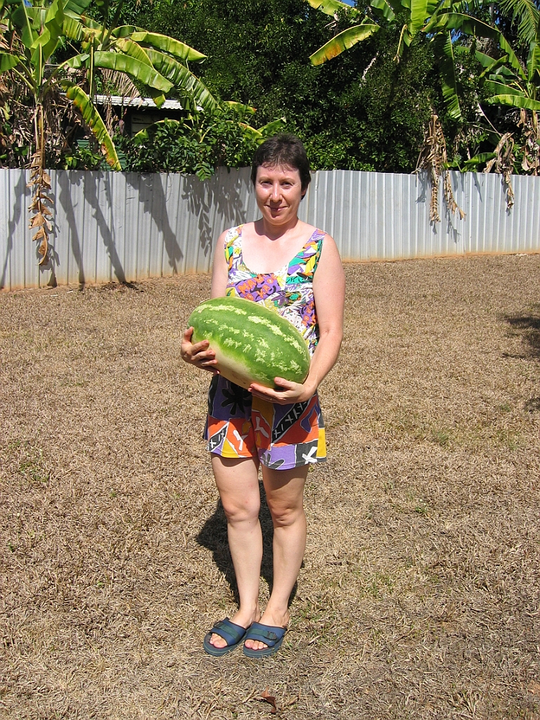 086 Watermelon.jpg